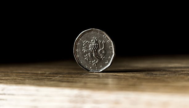 A detailed close-up photo of a Czech Republic coin standing on edge on a wooden surface.